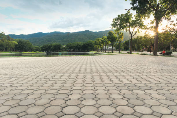 Best Driveway Pavers Near Me  in Mount Olive, AL